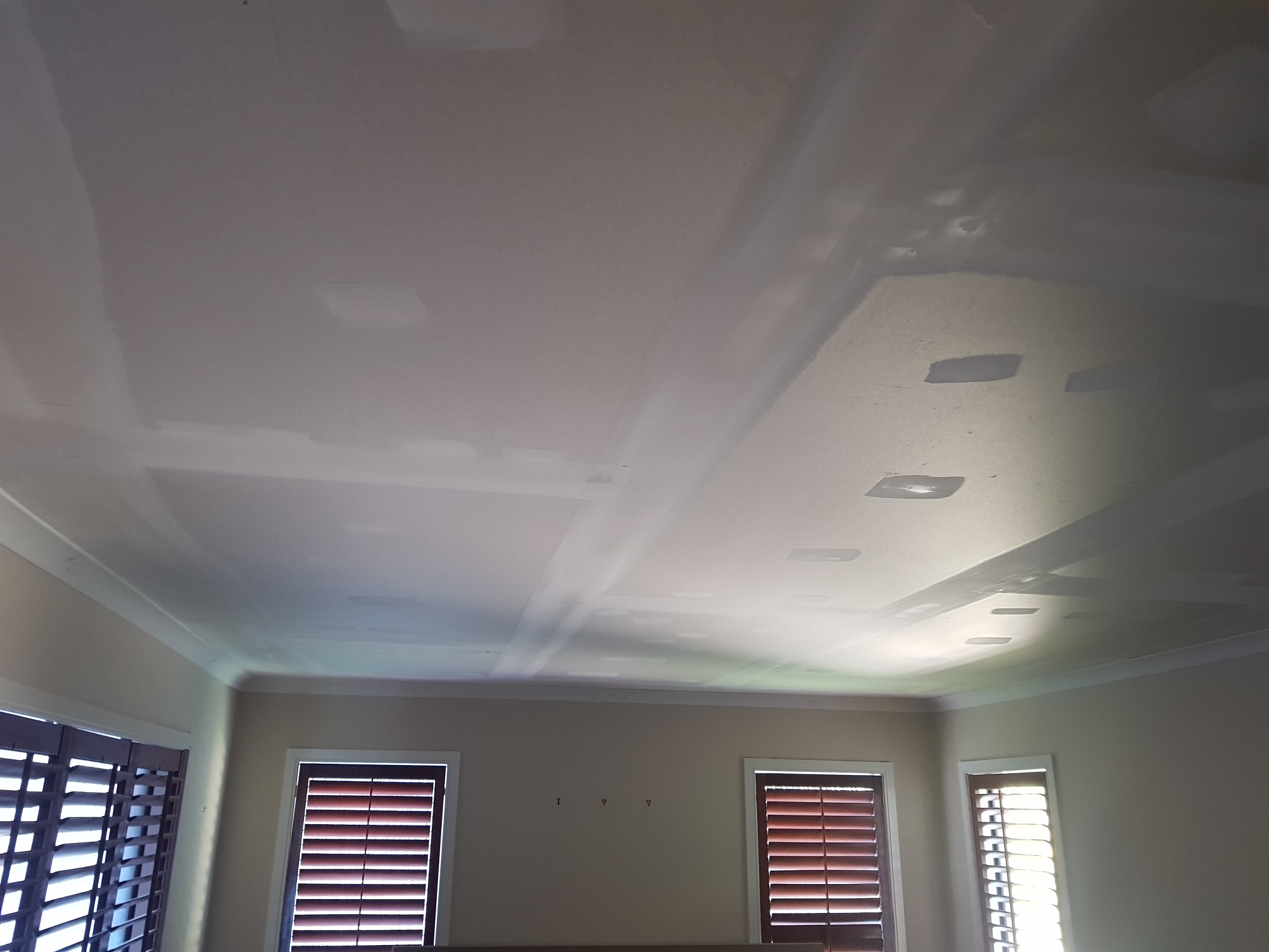 Replace Falling Ceiling